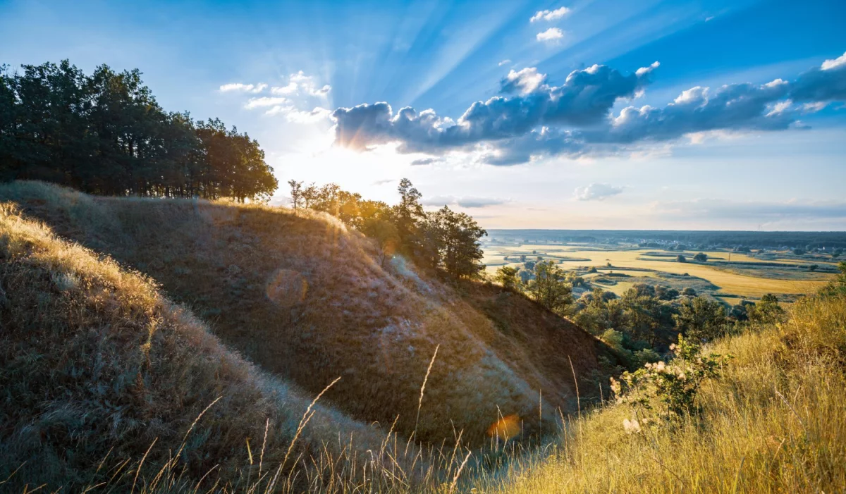 2023 najlepszym okresem aby  kupić auto