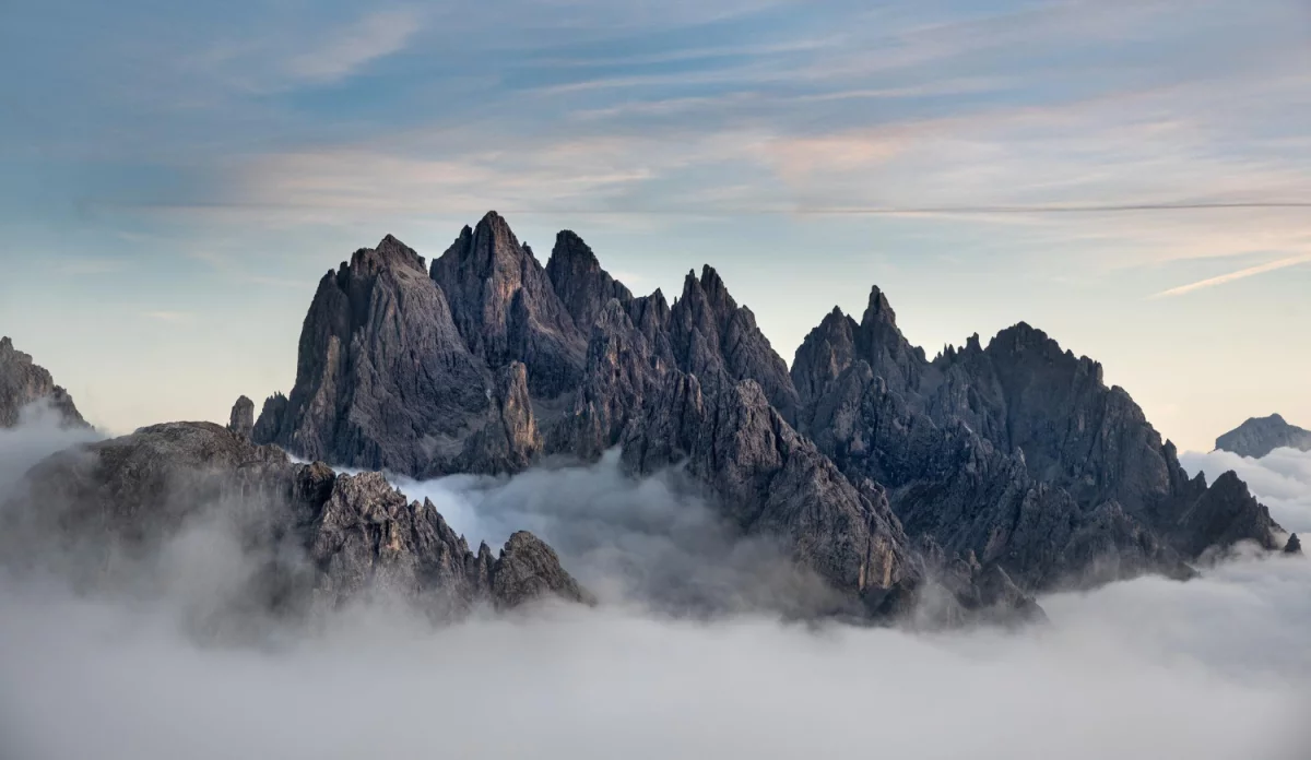 Cała Prawda O Tym Jak portal o medycynie (a Której Sprzedawcy Ci Nie Powiedzą)