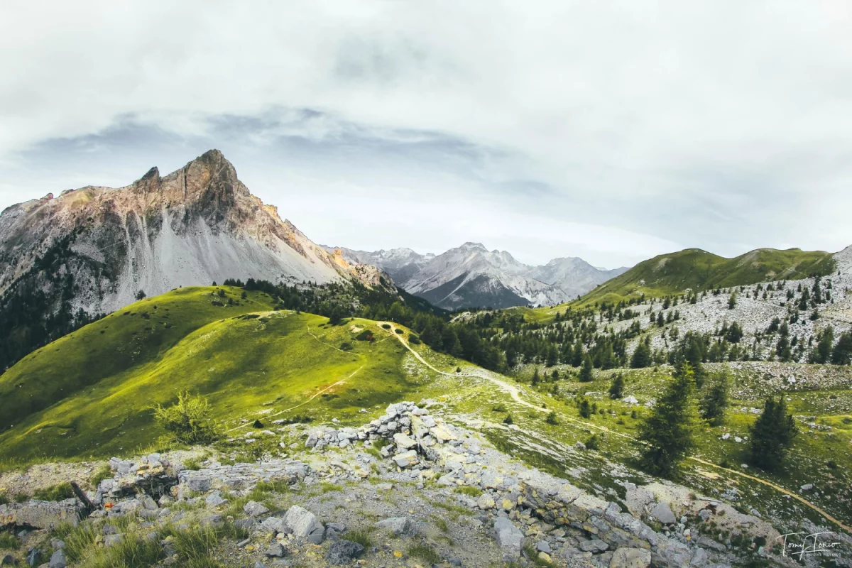 rozwinąć firmę szybciej?