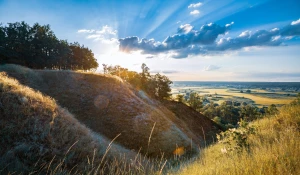 Co warto wiedzieć o swoich zębach przed wizytą u stomatologa